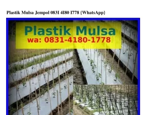 Plastik Mulsa Jempol Ô83l–ㄐl8Ô–l778(whatsApp)