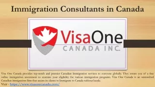 Immigration Consultants in Canada