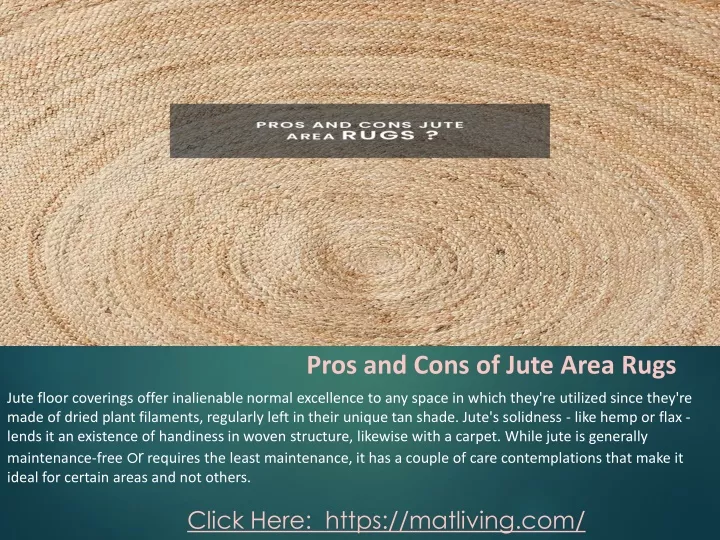 pros and cons of jute area rugs