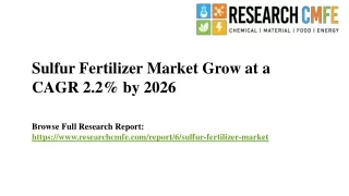 Sulfur Fertilizer Market