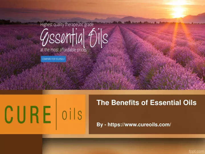 the benefits of essential oils