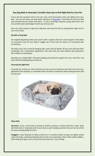Buy Dog Beds in Australia| Consider these tips to find Right Bed for Your Pet
