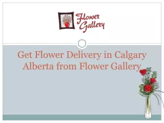 Get Flower Delivery in Calgary Alberta from Flower Gallery