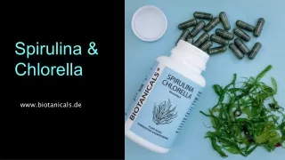 Kaufen Sie Spirulina Chlorella von Biotanicals