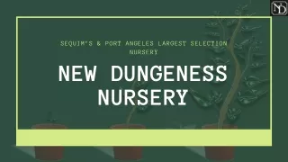 New Dungeness Nursery- Excellent Quality And Value