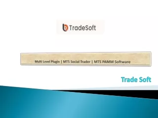 multi level plugin mt5 social trader mt5 pamm software