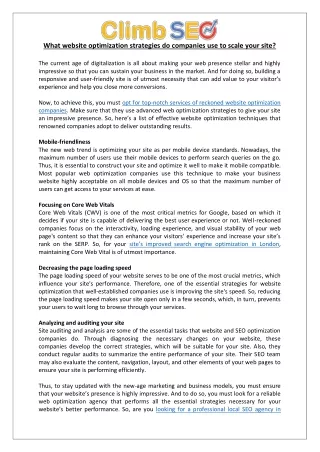 what website optimization strategies do companies