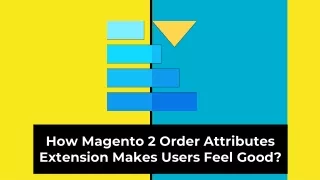 how magento 2 order attributes extension makes users feel good
