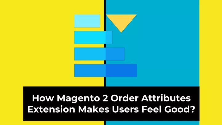 how magento 2 order attributes extension makes users feel good