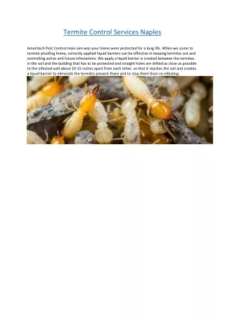 termite control services naples ameritech pest