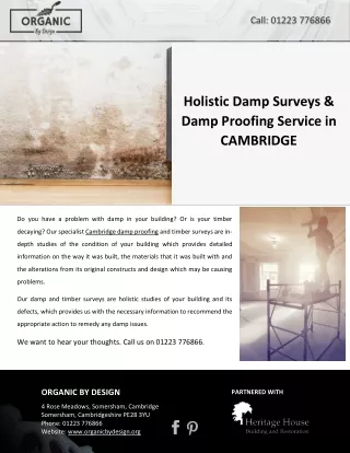 Holistic Damp Surveys & Damp Proofing Service in CAMBRIDGE