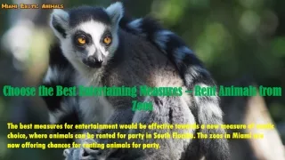 Choose the Best Entertaining Measures – Rent Animals from Zoos