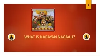 Narayan Nagbali Puja Trimbakeshwar
