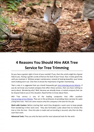 4 Reasons You Should Hire AKA Tree Service for Tree Trimming