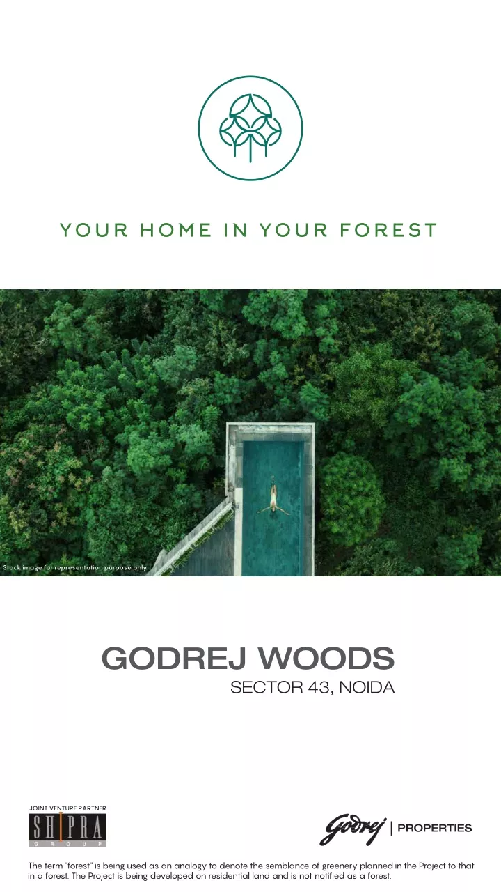 your home in your forest