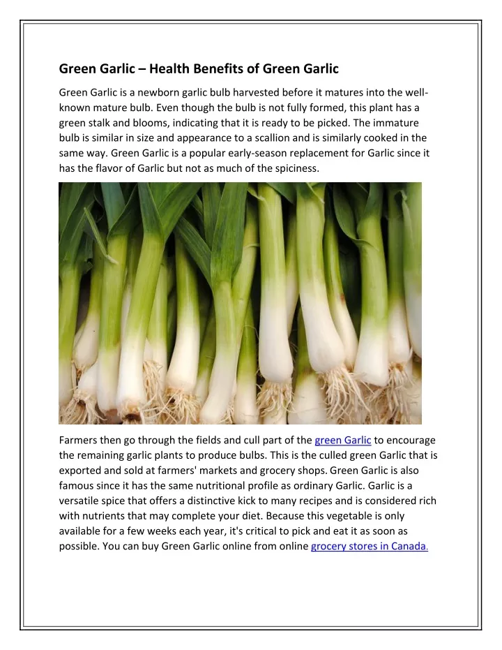 PPT - Green Garlic – Health Benefits Of Green Garlic PowerPoint ...