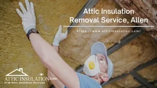 attic insulation removal service allen