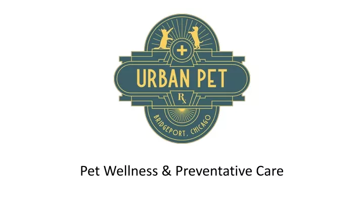 pet wellness preventative care