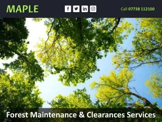 Forest Maintenance & Clearances Services