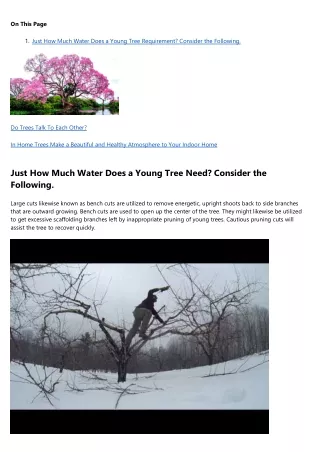 This Is Your Brain on arborist