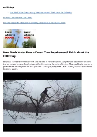 20 Up-and-Comers to Watch in the tree removal Industry