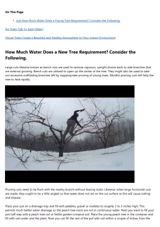 How Successful People Make the Most of Their tree removal