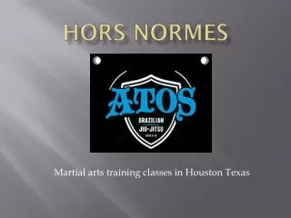 Martial Art in Houston Texas