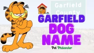 List 20 Garfield dog names that are really inspiring ! unique puppy names 2021