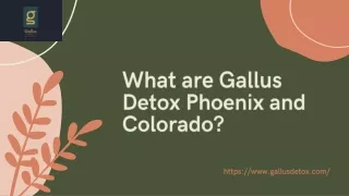 What are Gallus Detox Phoenix and Colorado