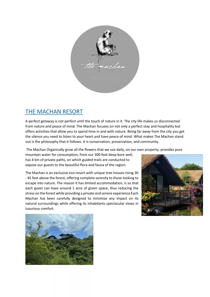 the machan resort