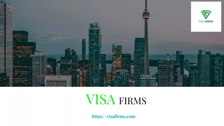 visa firms