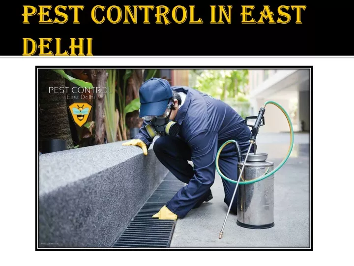 PPT Pest Control in East Delhi PowerPoint Presentation, free download