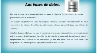 las bases de datos
