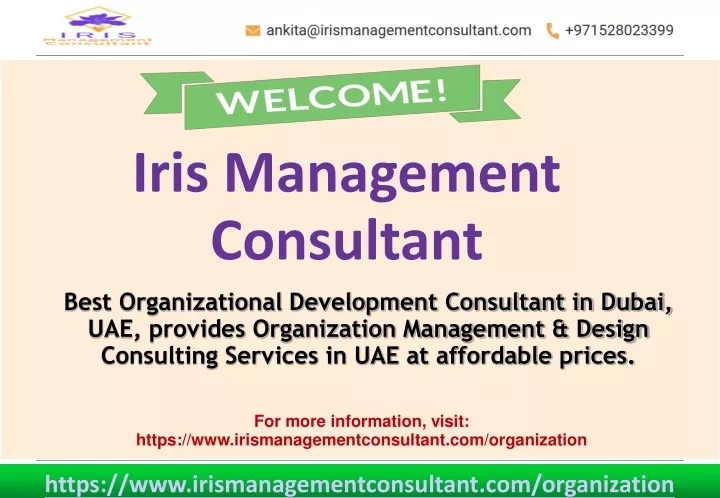 iris management consultant