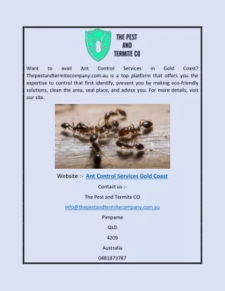 Ant Control Services Gold Coast | Thepestandtermitecompany.com.au