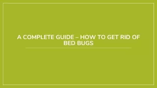 Tips on How to get rid of Bed Bugs