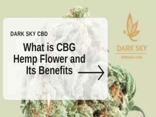 What is CBG Hemp Flower and Its Benefits