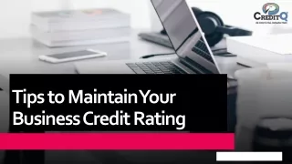 tips to maintain your business credit rating