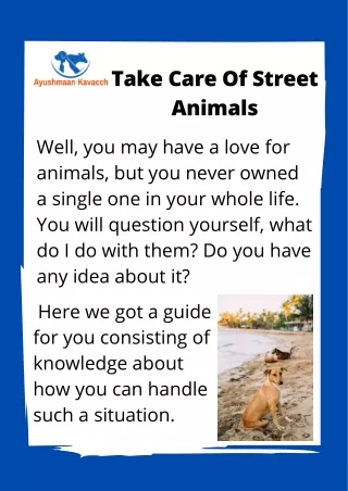 Care Of Street Animals