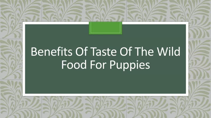 benefits of taste of the wild food for puppies