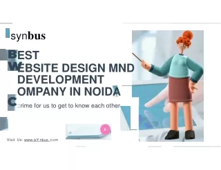 Best Website Design & Development Company in Noida - Isynbus Technology