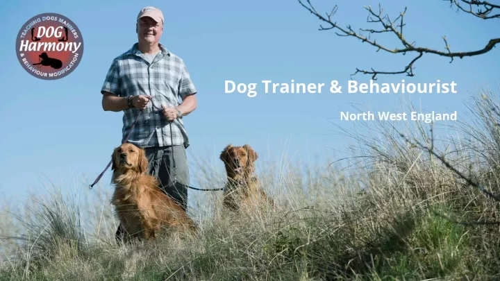 dog trainer behaviourist