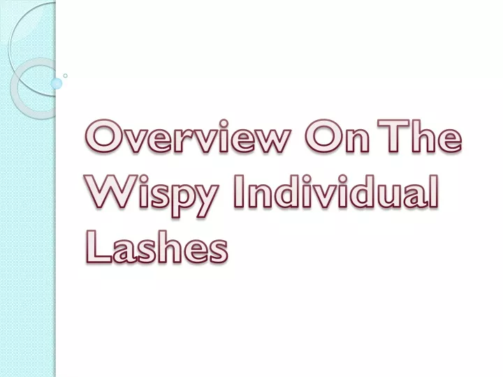 overview on the wispy individual lashes