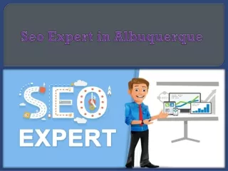 seo expert in albuquerque