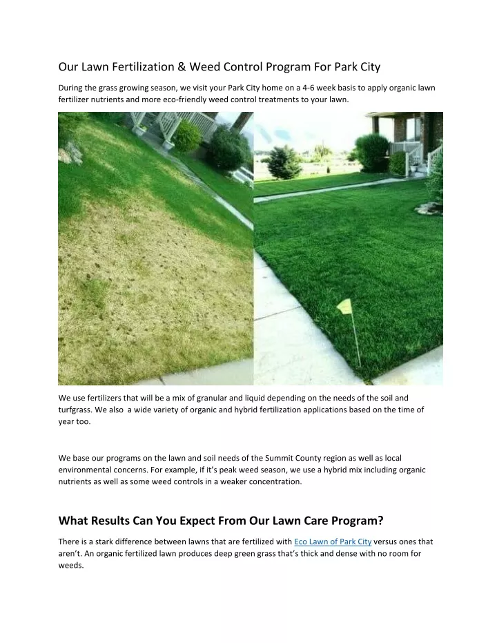 our lawn fertilization weed control program