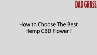 How to Choose The Best Hemp CBD Flower