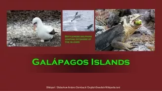 gal pagos islands