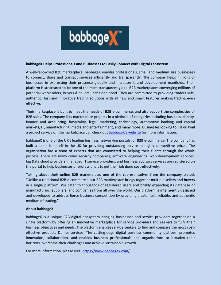 babbagex helps professionals and businesses