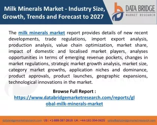 milk minerals market industry size growth trends