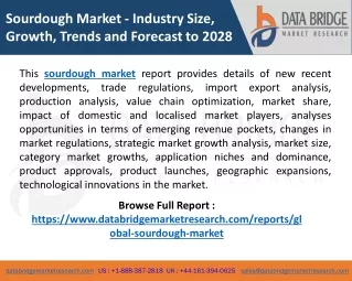 sourdough market industry size growth trends